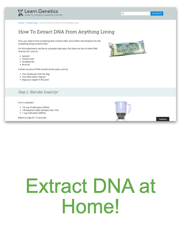 Screen Shot 2020-09-08 at 3.35.17 PM