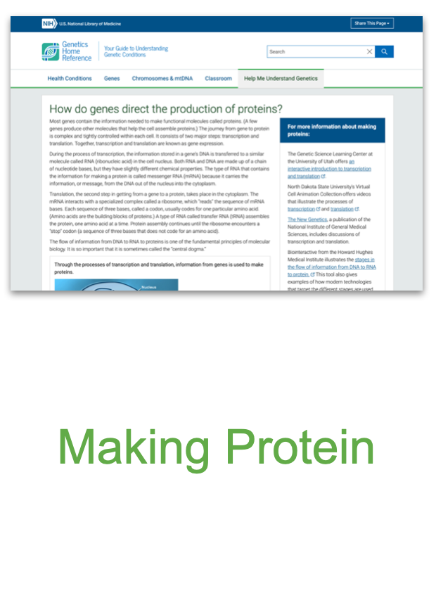 Screen Shot 2020-09-08 at 3.35.28 PM