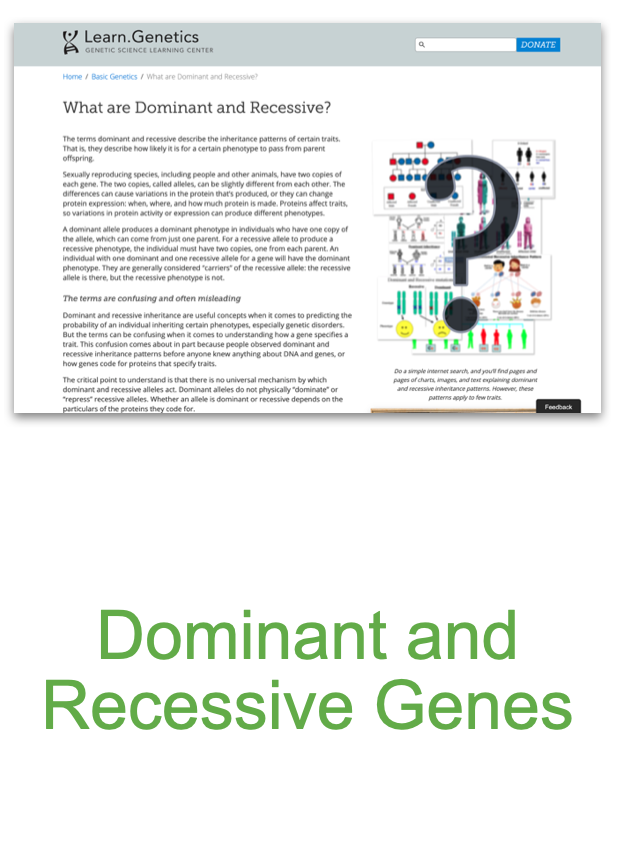 Screen Shot 2020-09-08 at 3.35.36 PM