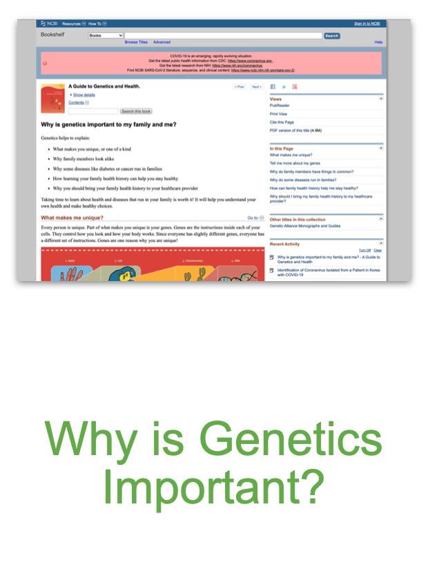 Screen Shot 2020-09-08 at 3.35.46 PM