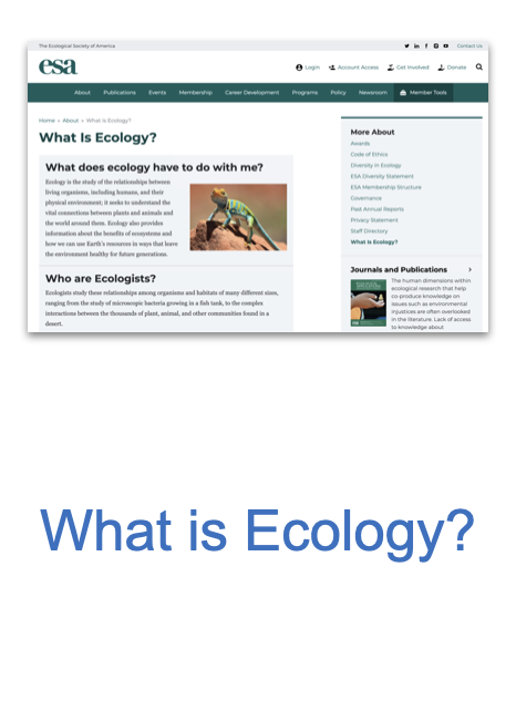 Screen Shot 2020-12-14 at 1.10.05 PM