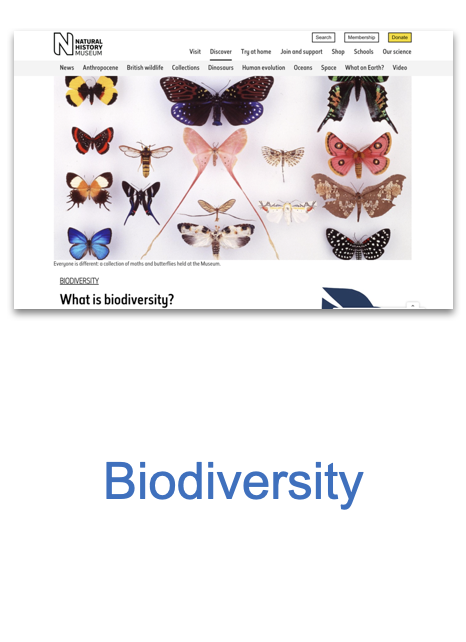 Screen Shot 2020-12-14 at 1.10.27 PM