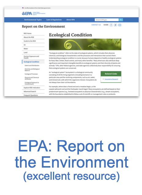 Screen Shot 2020-12-14 at 1.22.49 PM